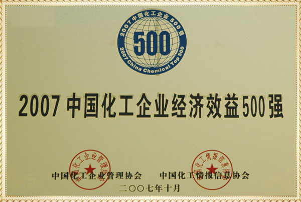 遠興2007年化工企業500強獎牌
