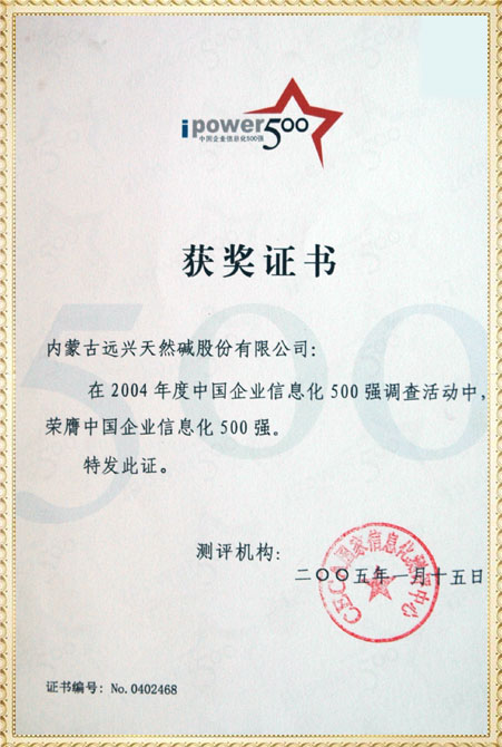 遠(yuǎn)興2004年中國企業(yè)信息化500強(qiáng)獲獎證書