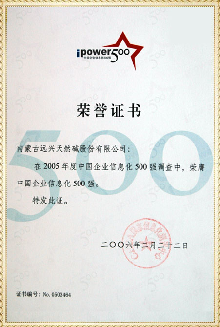 遠(yuǎn)興2005年中國企業(yè)信息化500強(qiáng)獲獎證書