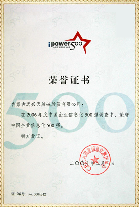 遠(yuǎn)興2006年中國企業(yè)信息化500強(qiáng)獲獎證書