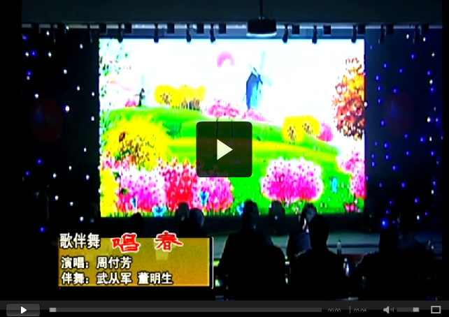 中源化學成立十五周年文藝匯演節(jié)目精選之三：唱春