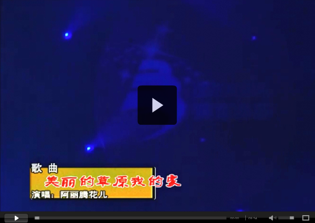 中源化學成立十五周年文藝匯演節(jié)目精選之七
