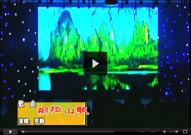中源化學成立十五周年文藝匯演節(jié)目精選之九