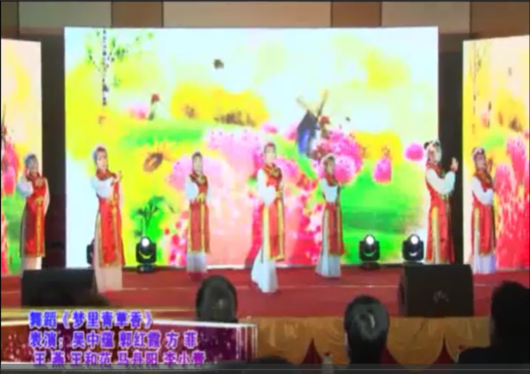 舞蹈《夢里青草香》——中源化學2015年春節晚會節目選