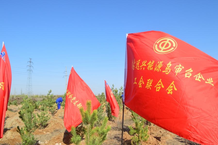 植樹.jpg