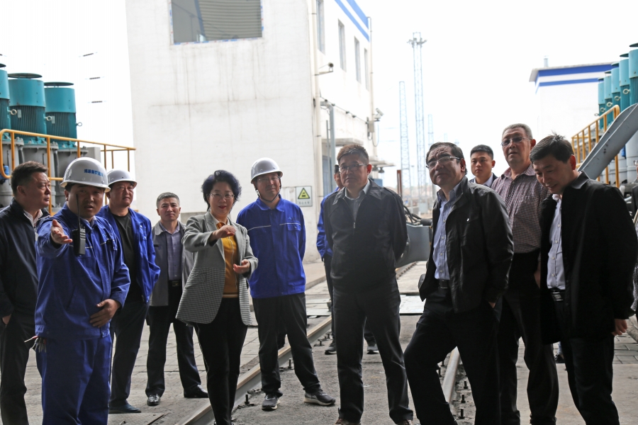 呼鐵局副總經理王斌和烏蘭察布市副市長王心宇到博源新型能源公司調研