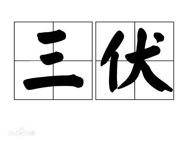 三伏天養(yǎng)生