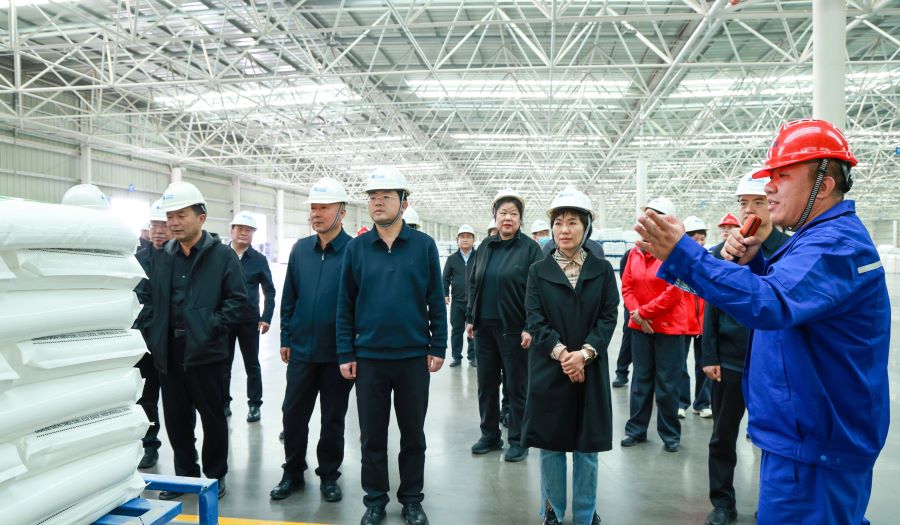 阿拉善盟副盟長(zhǎng)劉德翠到博源銀根礦業(yè)公司調(diào)研