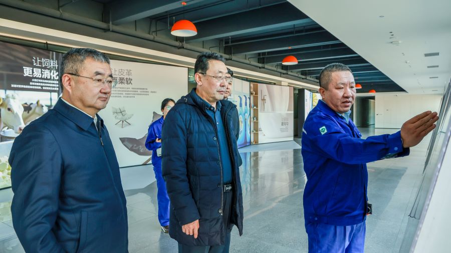 自治區(qū)區(qū)域合作調(diào)研組到博源銀根礦業(yè)公司調(diào)研